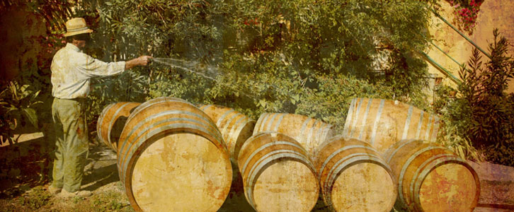 Piemonte Wines: Wines Worthy of the Alps